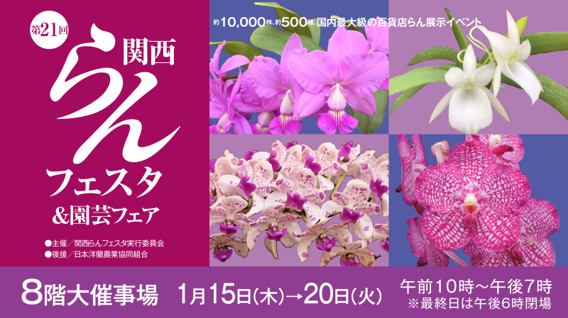 第21回関西らんフェスタ　ワークショップ　事前予約フォーム