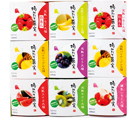一心堂 完熟フルーツ大福 摘みたて菓実9個詰合せ