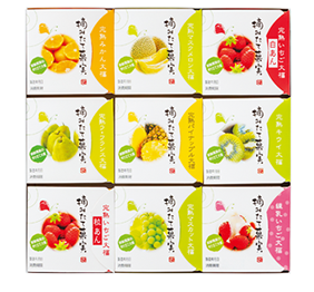 一心堂 完熟フルーツ大福摘みたて菓実9個詰合せ