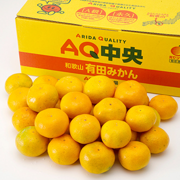 和歌山産　AQみかん