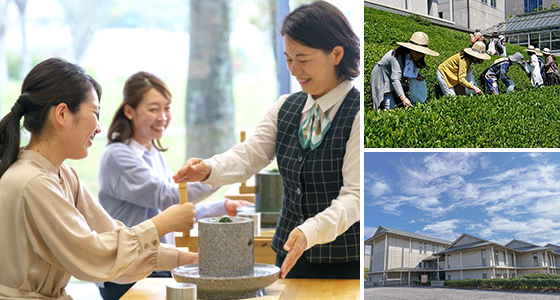 福寿園 ＣＨＡ遊学パーク　新茶初摘み＆石臼体験特別限定体験チケット福袋