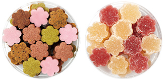 【京都・四条河原町】Sachi Takagi プラントベースクッキー＆ジェリー