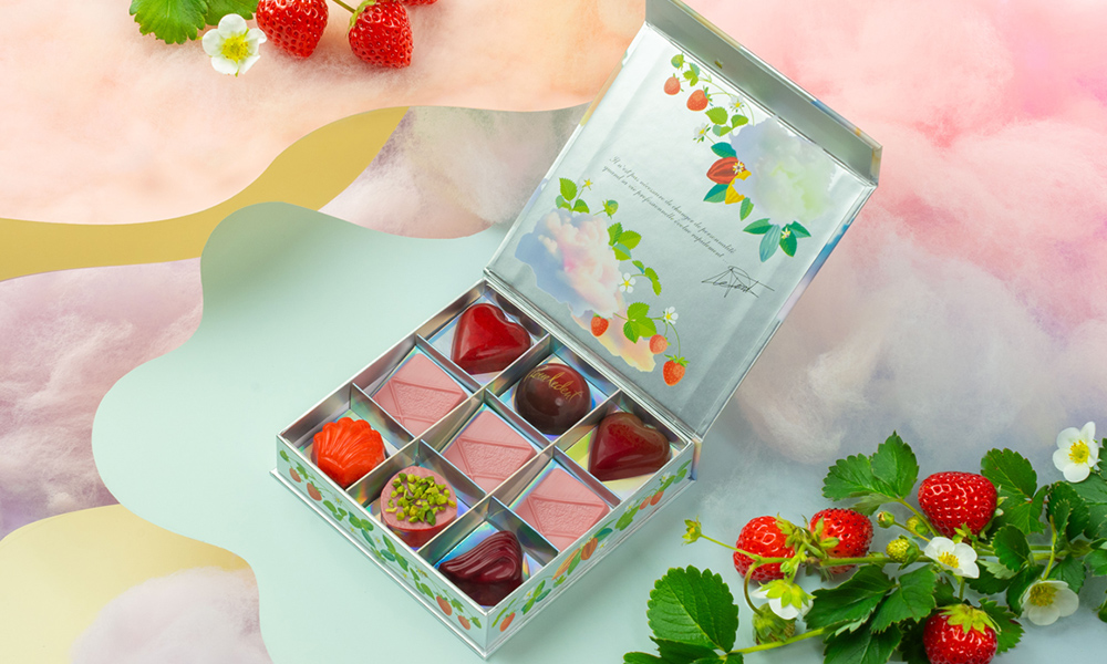 【ベルギー】 ピエール・ルドン コフレ フレーズ