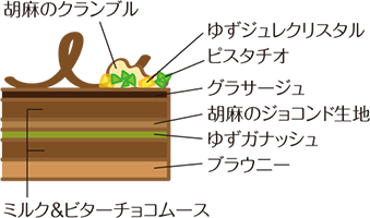 エクチュア ノエルジャポン 断面