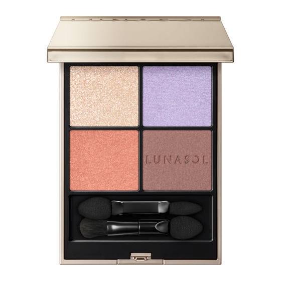 アイカラーレーションＮ（限定色）