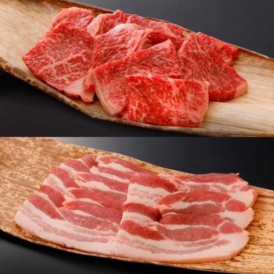 【肉の日】国産黒毛和牛・宮崎県産豚肉 高城の里 焼肉セット 各500g 計1kg