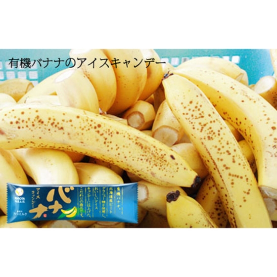 20本入】バナナアイスキャンデー - 京阪百貨店オンラインストア