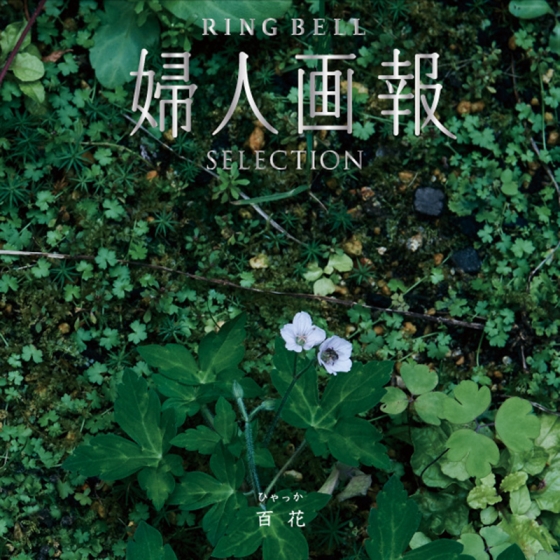 婦人画報×リンベル 百花