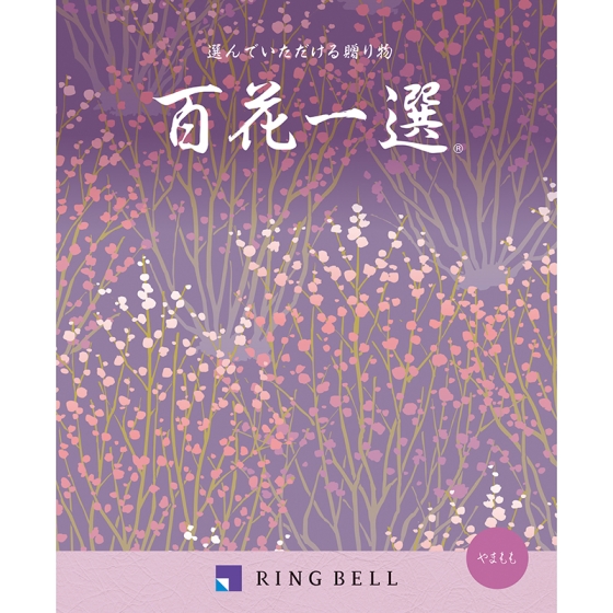 カタログギフト 百花一選・弔事用 山桃（やまもも）