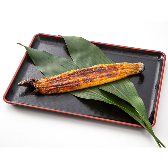 【守口店受取専用】《鮮魚売場店内厨房自家製 三河一色》一徹うなぎ・特大