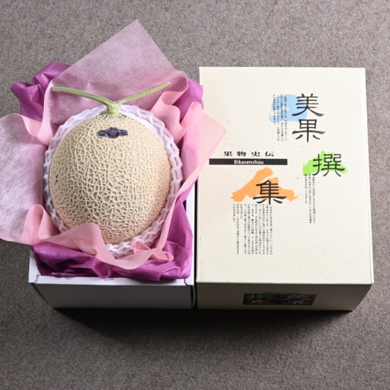 静岡温室マスクメロン