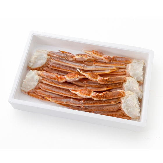 ロシア産　生ずわいがに（バルダイ種）・（冷凍）