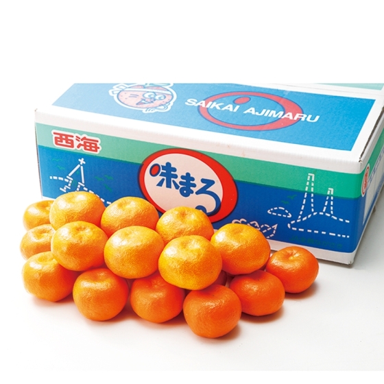 ＜お届け専用＞長崎産　味まるみかん