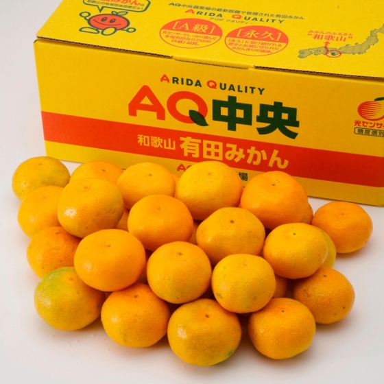 ＜お届け専用＞和歌山産　AQみかん