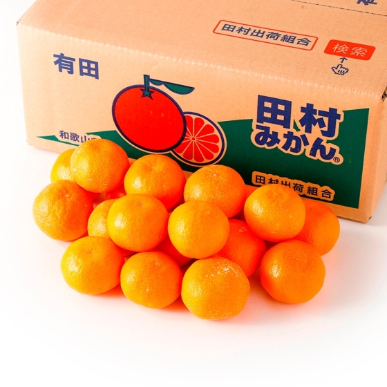 ＜お届け専用＞和歌山産　田村みかん（竹武農園）