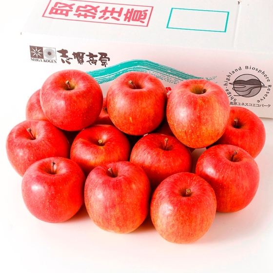 ＜お届け専用＞長野産　志賀高原　サンフジりんご