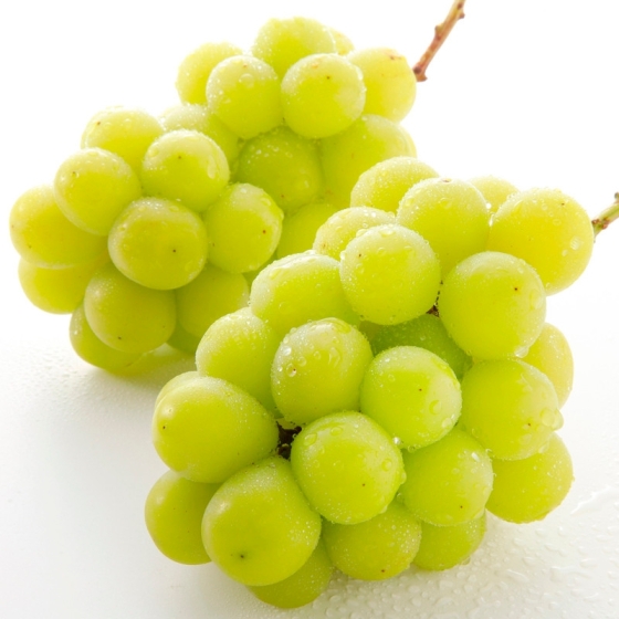 ＜お届け専用＞山梨産他　シャインマスカット