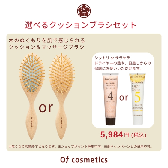 選べるクッションブラシセット