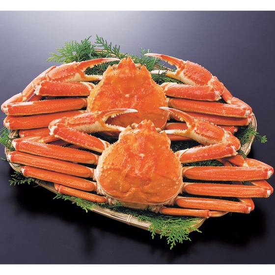 鳥取･境港 ニッスイ ボイルずわいがに姿