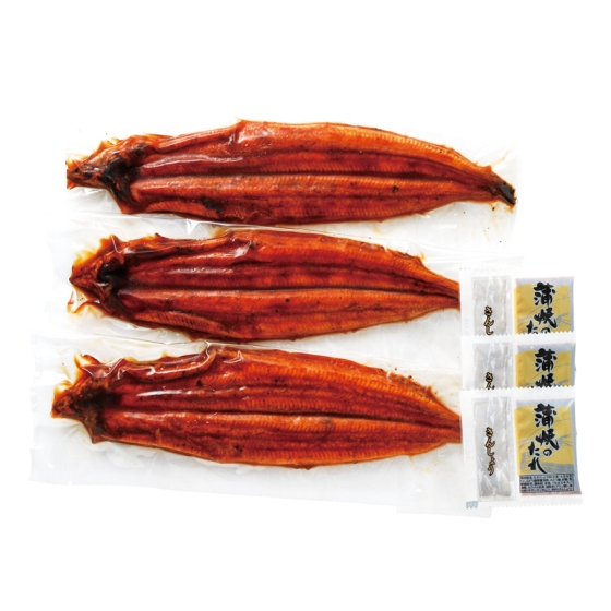 鹿児島 炭火焼うなぎセット