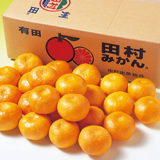 【お届け期間：11月25日頃～12月15日頃まで】和歌山産 有田田村みかん