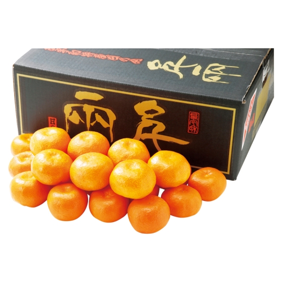 【お届け期間：12月1日頃～12月20日頃まで】愛媛産 日の丸みかん