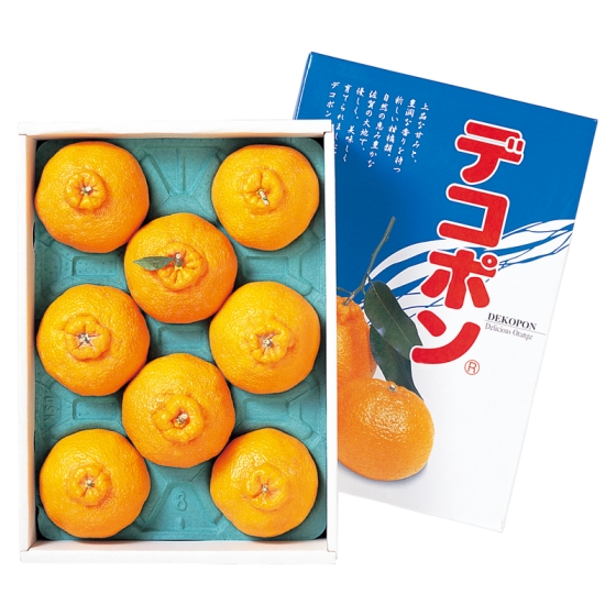 【お届け期間：12月5日頃～12月20日頃まで】佐賀産 ハウスデコポン