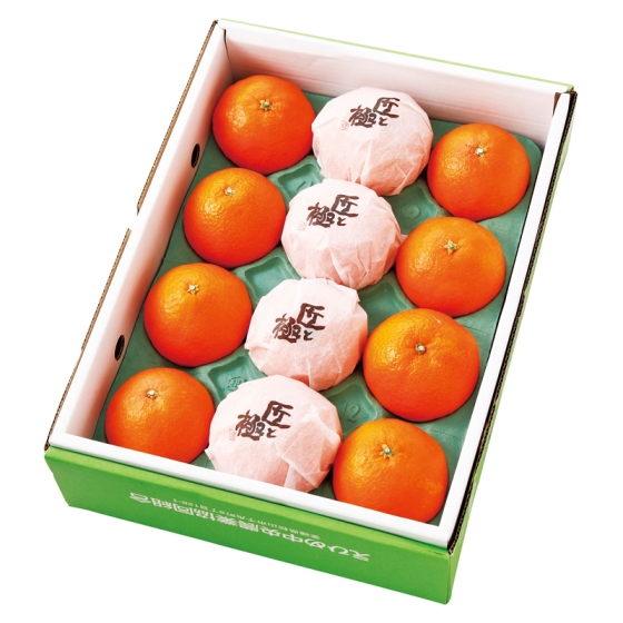 【お届け期間：12月1日頃～12月20日頃まで】愛媛産 紅まどんな