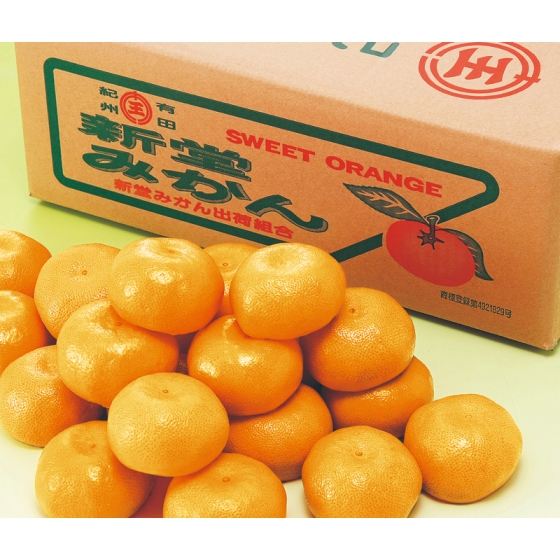 【お届け期間：11月25日頃～12月15日頃まで】和歌山産 新堂みかん