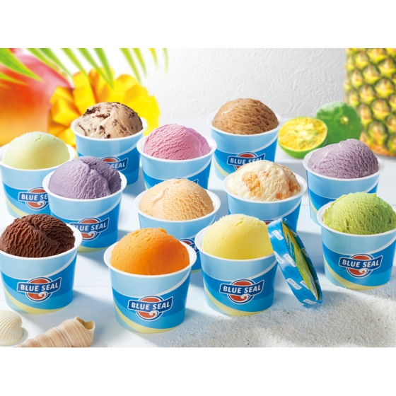 ブルーシールアイスギフト