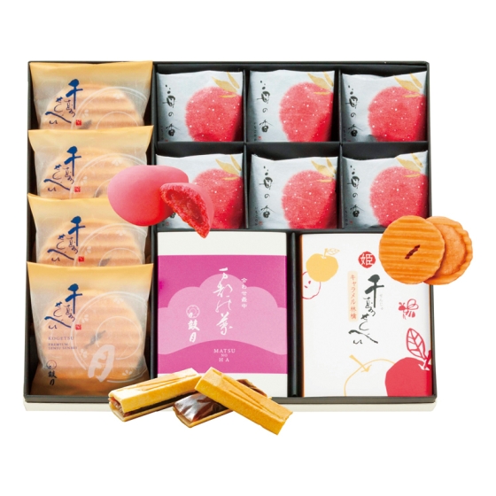 京菓子處 鼓月 京菓子銘菓詰合せ