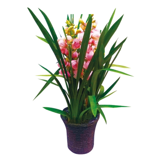 シンビジューム ピンク系・バスケット入