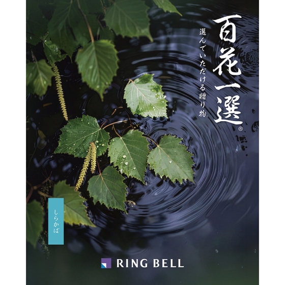 百花一選・弔事用 白樺（しらかば）