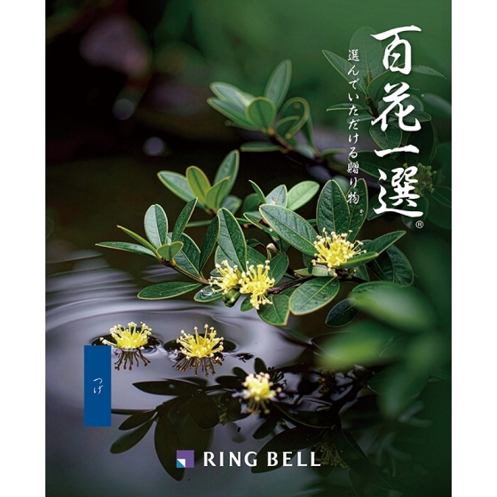 百花一選・弔事用 柘植（つげ）