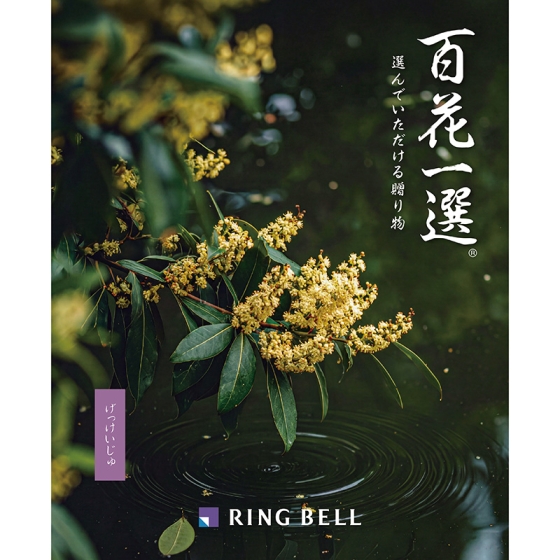 百花一選・弔事用 月桂樹（げっけいじゅ）