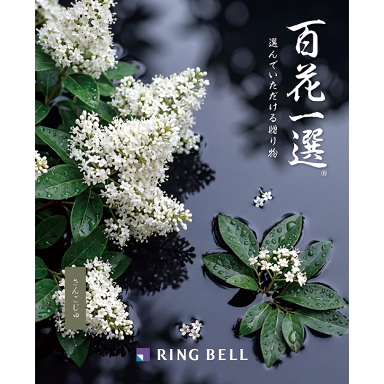 百花一選・弔事用 珊瑚樹（さんごじゅ）