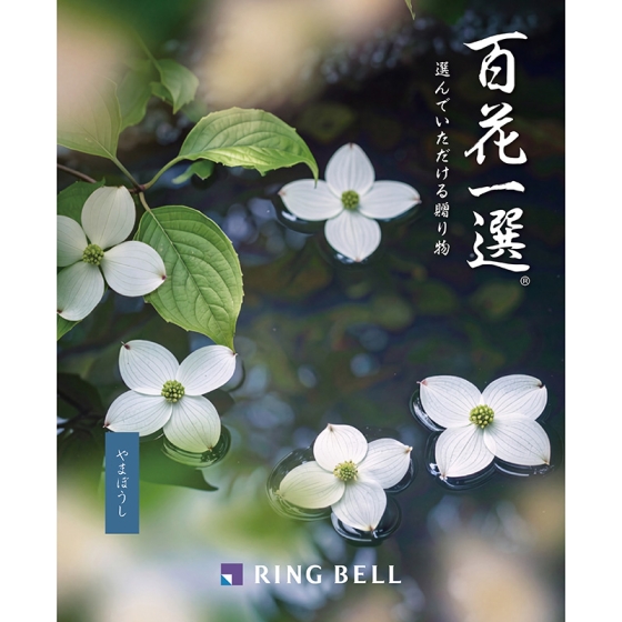 百花一選・弔事用 山法師（やまぼうし）
