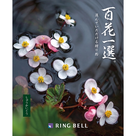 百花一選・弔事用 秋海棠（しゅうかいどう）