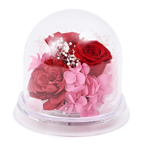 プリザーブドフラワー 赤