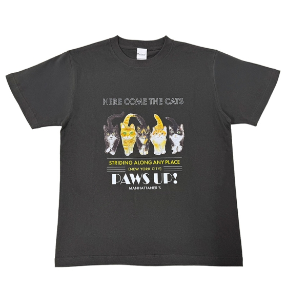 Tシャツ　アンパイアロックを闊歩する