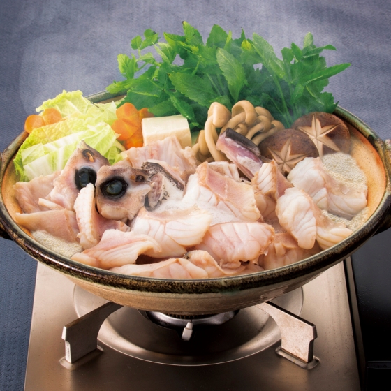 愛媛 くえ鍋セット