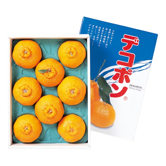 【※お届け期間：12月5日頃～12月20日頃】佐賀産 ハウスデコポン