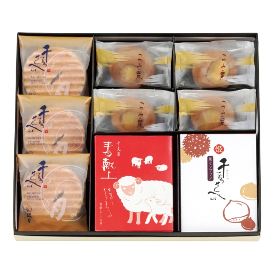 京菓子處 鼓月 京菓子銘菓詰合せ