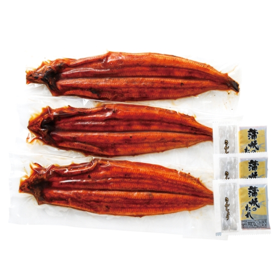 鹿児島 炭火焼うなぎセット