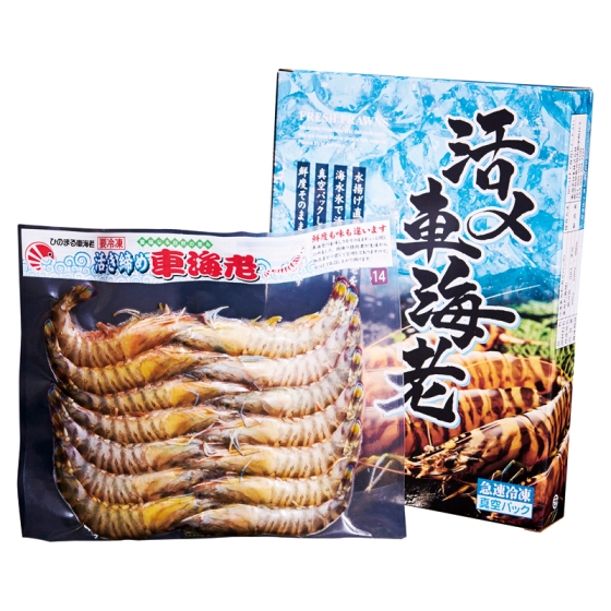鹿児島産 車えび