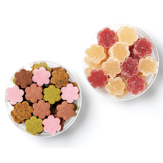 プラントベースクッキー＆ジェリー