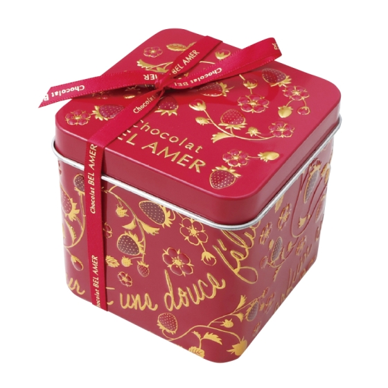 苺のパレショコラ